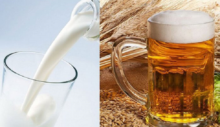 Thức uống kết hợp giữa bia và sữa tươi ngon tuyệt